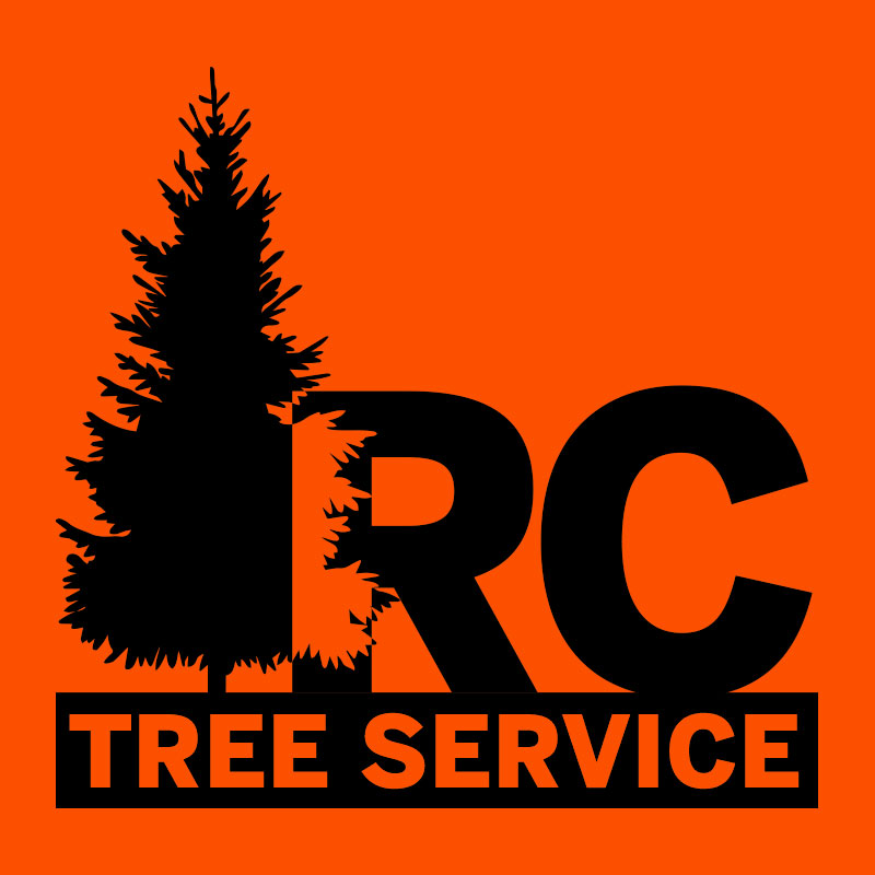 RC Tree AI Avatar